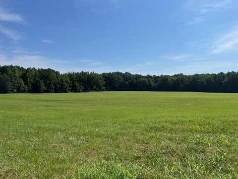 Ephesus Church Rd, HOLLOW ROCK, TN 38342