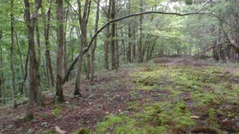 2.64ac Old Hwy 53 S., Celina, TN 38551