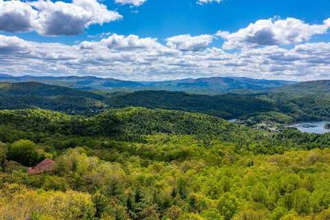 7 CUB DR, BUTLER, TN 37640