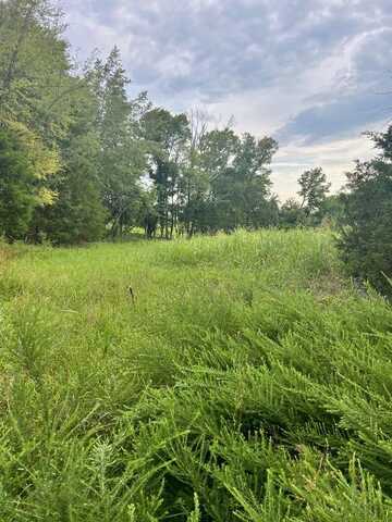 Hix Road Lot #2, GORDONSVILLE, TN 38563