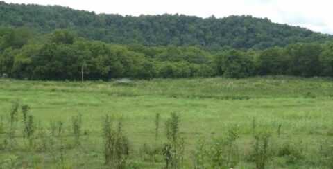 146 Copeland Rd, Celina, TN 38551