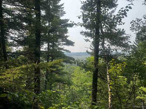 120 Acres Willow Creek, Ishpeming, MI 49849