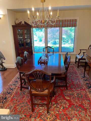 Jasper, EASTON, MD 21601