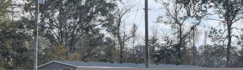 Whitney, LAKE CITY, FL 32055