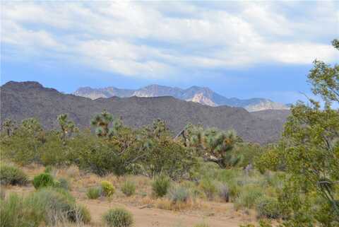 11719 S Duncan Road, Yucca, AZ 86438