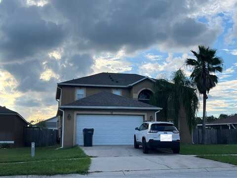 Stallion, VALRICO, FL 33594