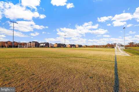 Philanthropic, ASHBURN, VA 20148