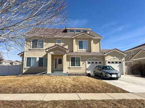 Netherland, DENVER, CO 80249