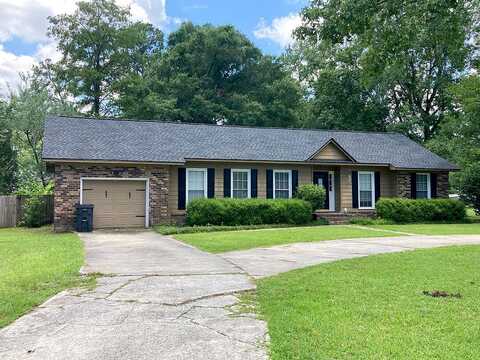 Night Hawk, SUMMERVILLE, SC 29485