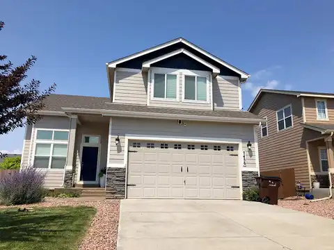 Alpine Daisy, COLORADO SPRINGS, CO 80925