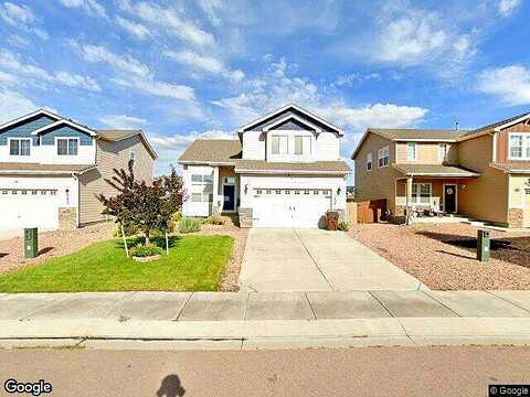 Alpine Daisy, COLORADO SPRINGS, CO 80925
