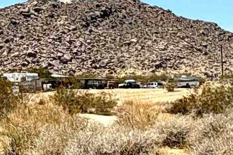 Deer, LANDERS, CA 92285