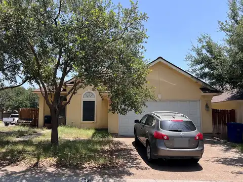 Cinnamon Teal, LAREDO, TX 78045