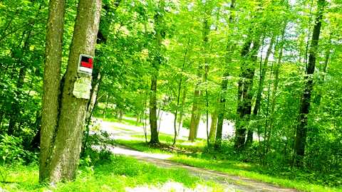 Harmony Grove, ALBRIGHT, WV 26519