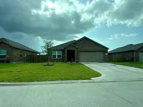 Texas Olive, KATY, TX 77493