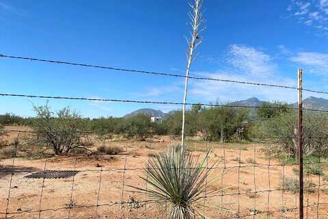 Arabian, SIERRA VISTA, AZ 85650
