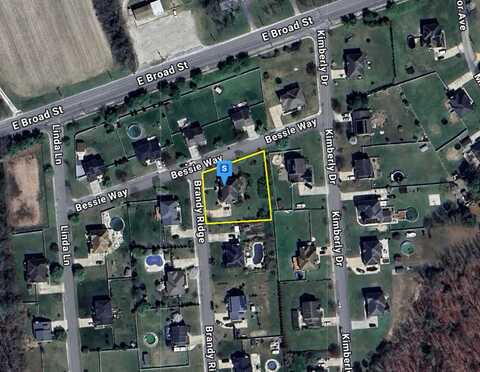Brandy, MILLVILLE, NJ 08332