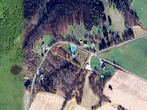 Hunsinger, DUSHORE, PA 18614