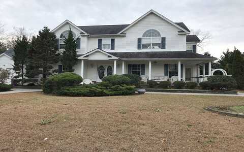 Domino, CENTEREACH, NY 11720
