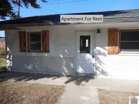 317 N 5th Street - Apt. #5, Wickliffe, KY 42087