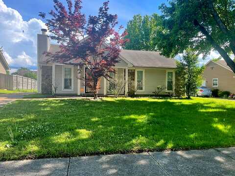 Berrypick, MEMPHIS, TN 38141