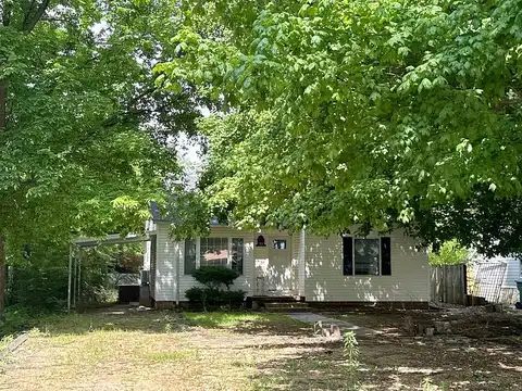 Pecan, HORNERSVILLE, MO 63855