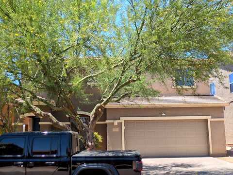 Nestled Hummingbird, SAHUARITA, AZ 85629