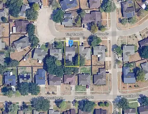 Tiny Tree, MISSOURI CITY, TX 77489