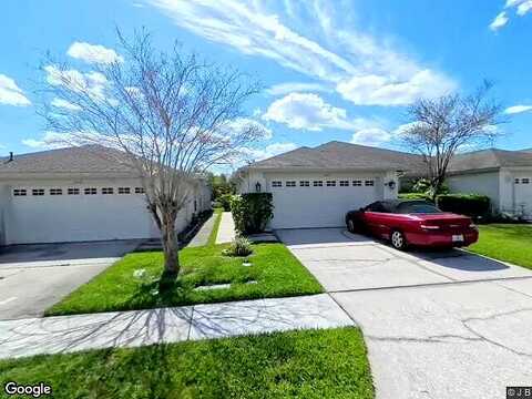 Sassafras, WESLEY CHAPEL, FL 33543