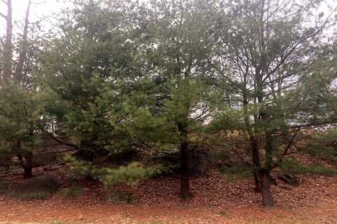 Ridge, POMONA, NY 10970