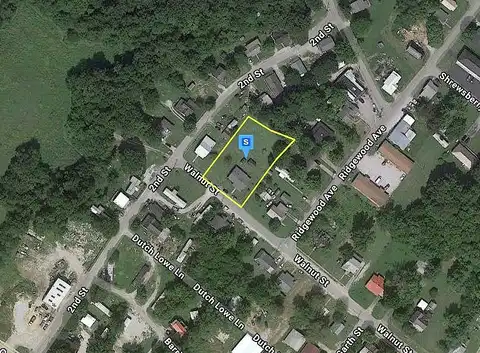 Walnut, MONTICELLO, KY 42633