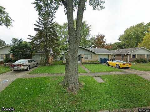 Hopkins, STEGER, IL 60475