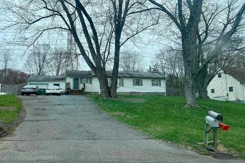 Tiger, HOPEWELL JUNCTION, NY 12533