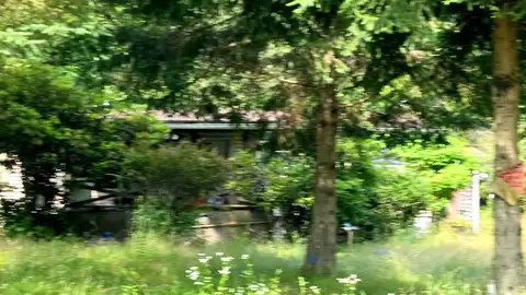 Bastian, ROARING BRANCH, PA 17765