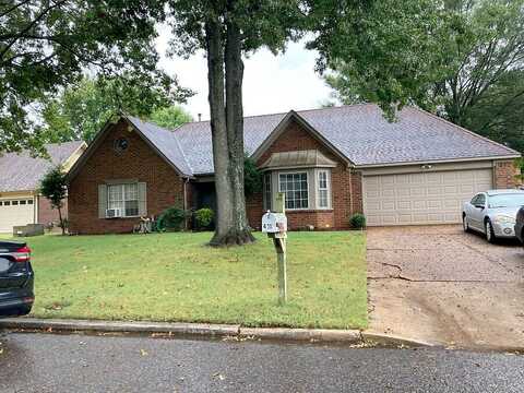 Barnstable, MEMPHIS, TN 38125