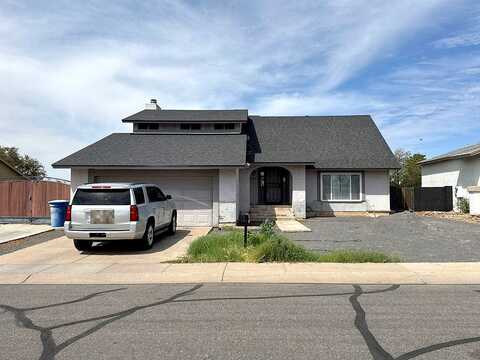Buffalo, CHANDLER, AZ 85226