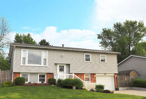 Rob Roy, OAK FOREST, IL 60452