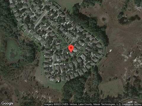 Zane, MOUNT DORA, FL 32757
