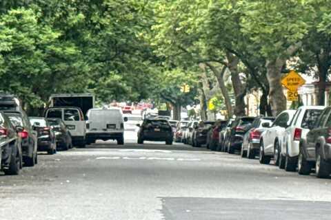 Prospect, BROOKLYN, NY 11216