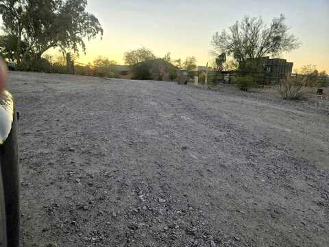 Saguaro, WICKENBURG, AZ 85390