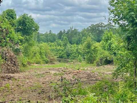 Folds Rd (Tract D - 22.67 Acres), Carrollton, GA 30116