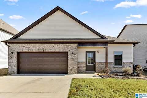 County Road 1701, CULLMAN, AL 35058