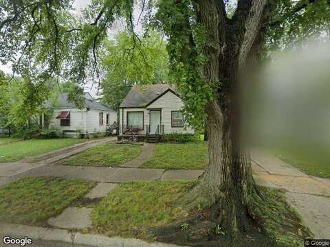 Ferguson, DETROIT, MI 48235