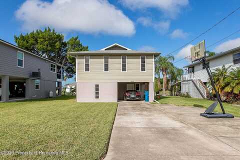 Sea Grape, HERNANDO BEACH, FL 34607