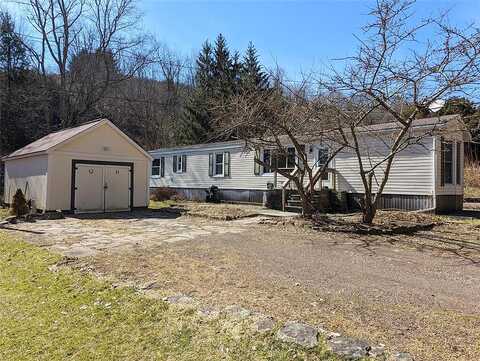Lower Third Brook, WALTON, NY 13856