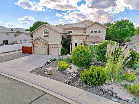 Yew, FRUITA, CO 81521
