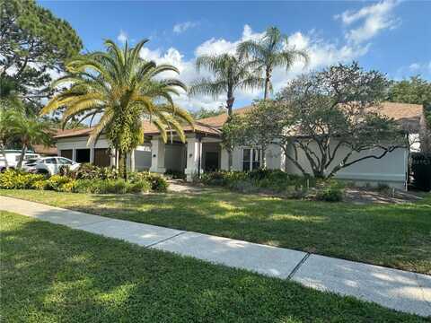 Cheviot, TAMPA, FL 33618