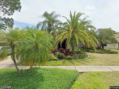 Cheviot, TAMPA, FL 33618
