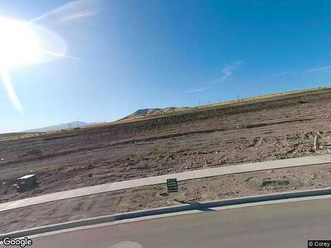 Wild Hyacinth, SARATOGA SPRINGS, UT 84045