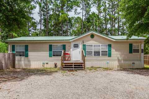 Ailanthus, PENSACOLA, FL 32506